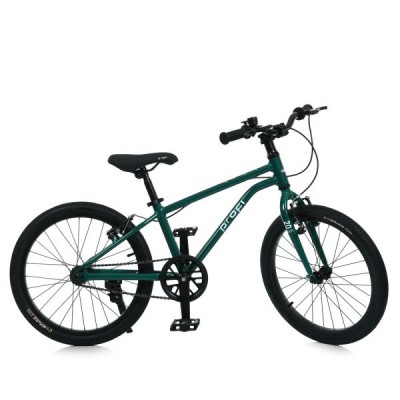 Велосипед дитячий 20д. PROF1 MB 20LIGHTY RAIN FOREST (1шт/ящ)
