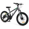 Велосипед PROFI FREEDOM 20 д. FD-2002 (1шт/ящ)