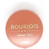 Румяна 13234 "BOURJOIS" "Pastel Joues" re-pack 85