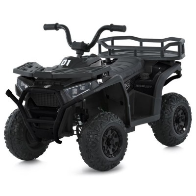 Квадроцикл M 6127EBLR-2(24V)