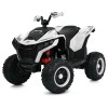 Квадроцикл M 6128EBLR-1(24V)