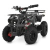 Квадроцикл HB-EATV1000N-19